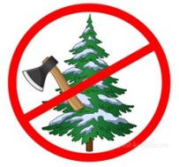 Берегите ёлочку🌲.